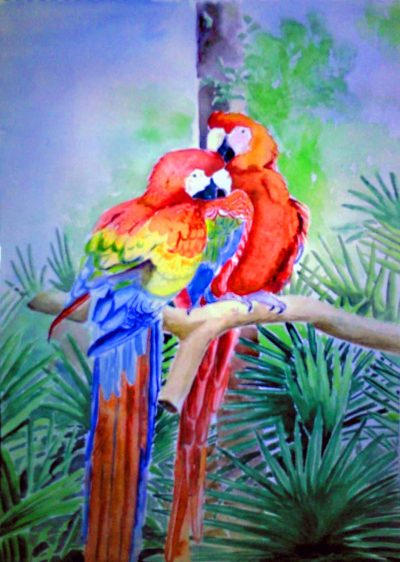 8parrot